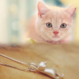 Collier et boucles d'oreilles chats